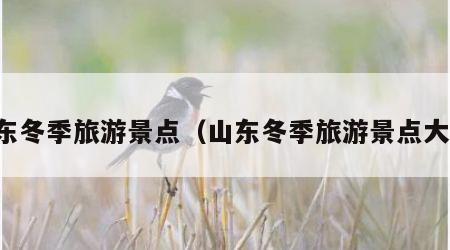 山东冬季旅游景点（山东冬季旅游景点大全）