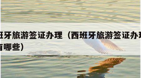 西班牙旅游签证办理(西班牙旅游签证办理公司有哪些)