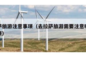 拉萨旅游注意事项（去拉萨旅游需要注意哪些事项）