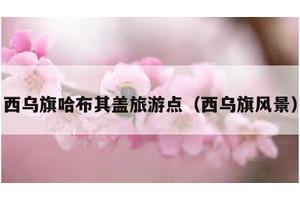 西乌旗哈布其盖旅游点（西乌旗风景）