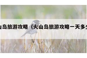 火山岛旅游攻略（火山岛旅游攻略一天多少钱）