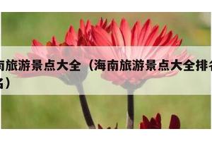 海南旅游景点大全（海南旅游景点大全排名前十名）
