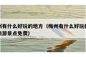 梅州有什么好玩的地方（梅州有什么好玩的地方旅游景点免费）