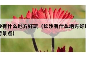 长沙有什么地方好玩（长沙有什么地方好玩的旅游景点）