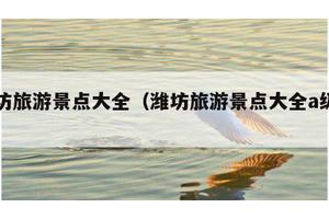 潍坊旅游景点大全（潍坊旅游景点大全a级景区）