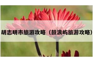 胡志明市旅游攻略（鼓浪屿旅游攻略）