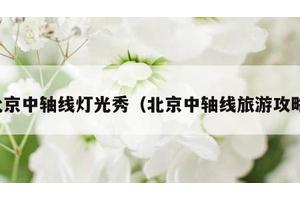 北京中轴线灯光秀（北京中轴线旅游攻略）