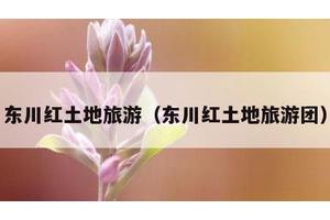 东川红土地旅游（东川红土地旅游团）