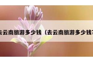 去云南旅游多少钱（去云南旅游多少钱?）