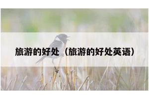 旅游的好处（旅游的好处英语）