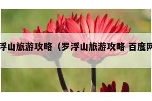 罗浮山旅游攻略（罗浮山旅游攻略 百度网盘）