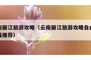 云南丽江旅游攻略（云南丽江旅游攻略自由行路线推荐）