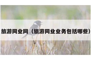 旅游同业网（旅游同业业务包括哪些）
