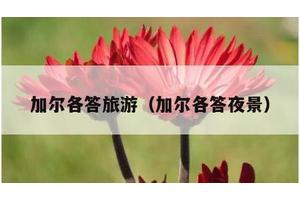 加尔各答旅游（加尔各答夜景）