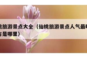仙桃旅游景点大全（仙桃旅游景点人气最旺的地方是哪里）