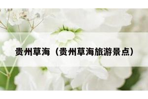 贵州草海（贵州草海旅游景点）