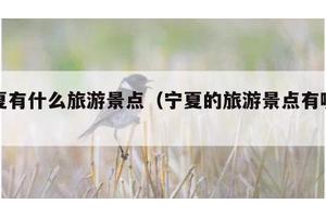 宁夏有什么旅游景点（宁夏的旅游景点有哪些）