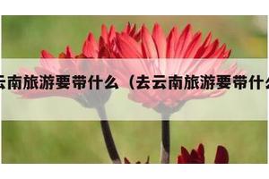 去云南旅游要带什么（去云南旅游要带什么药品）