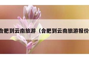 合肥到云南旅游（合肥到云南旅游报价）