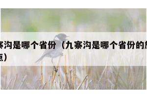 九寨沟是哪个省份（九寨沟是哪个省份的旅游景点）
