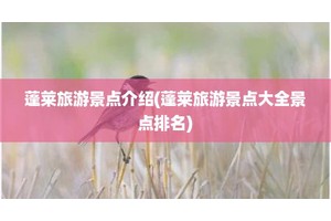 蓬莱旅游景点介绍(蓬莱旅游景点大全景点排名)