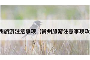 贵州旅游注意事项（贵州旅游注意事项攻略）