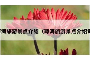 琼海旅游景点介绍（琼海旅游景点介绍词）