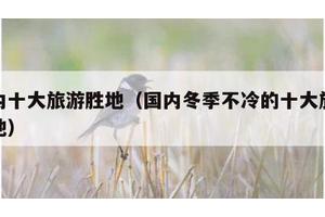 国内十大旅游胜地（国内冬季不冷的十大旅游胜地）