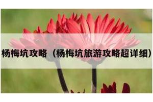 杨梅坑攻略（杨梅坑旅游攻略超详细）