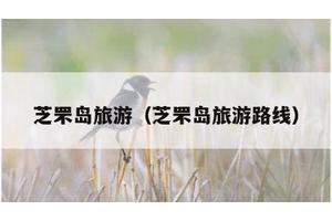 芝罘岛旅游（芝罘岛旅游路线）