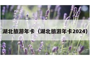湖北旅游年卡（湖北旅游年卡2024）