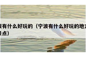 宁波有什么好玩的（宁波有什么好玩的地方旅游景点）