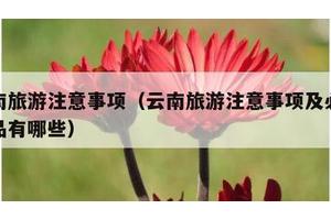 云南旅游注意事项（云南旅游注意事项及必备物品有哪些）