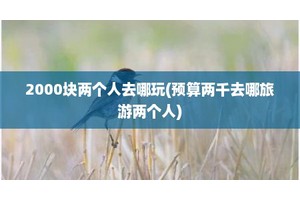 2000块两个人去哪玩(预算两千去哪旅游两个人)