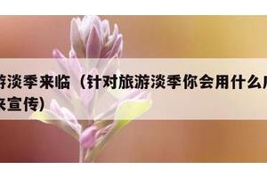 旅游淡季来临（针对旅游淡季你会用什么广告语来宣传）