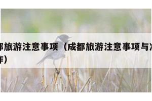 成都旅游注意事项（成都旅游注意事项与准备工作）