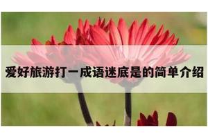 爱好旅游打一成语迷底是的简单介绍