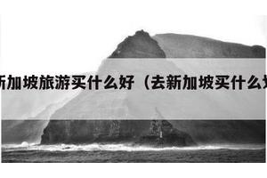 去新加坡旅游买什么好（去新加坡买什么划算）