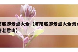 济南旅游景点大全（济南旅游景点大全景点排名榜老君山）