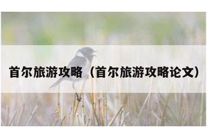 首尔旅游攻略（首尔旅游攻略论文）