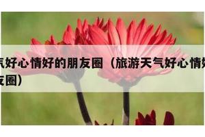 天气好心情好的朋友圈（旅游天气好心情好的朋友圈）