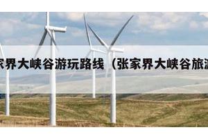 张家界大峡谷游玩路线（张家界大峡谷旅游路线）