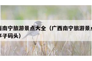广西南宁旅游景点大全（广西南宁旅游景点大全亭子码头）