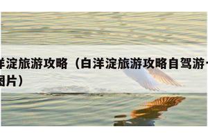 白洋淀旅游攻略（白洋淀旅游攻略自驾游一日游图片）