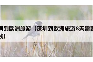深圳到欧洲旅游（深圳到欧洲旅游8天需要多少钱）