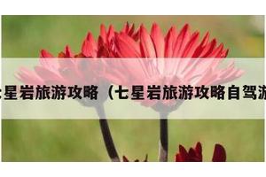 七星岩旅游攻略（七星岩旅游攻略自驾游）