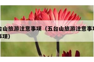 五台山旅游注意事项（五台山旅游注意事项安全事项）