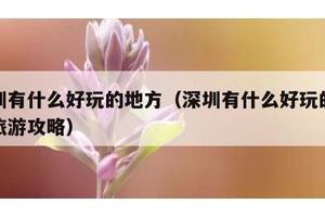 深圳有什么好玩的地方（深圳有什么好玩的地方旅游攻略）