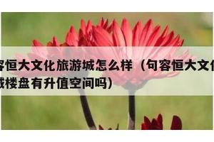 句容恒大文化旅游城怎么样（句容恒大文化旅游城楼盘有升值空间吗）