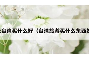 去台湾买什么好（台湾旅游买什么东西好）